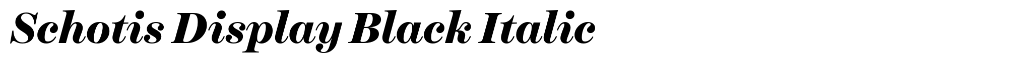 Schotis Display Black Italic image